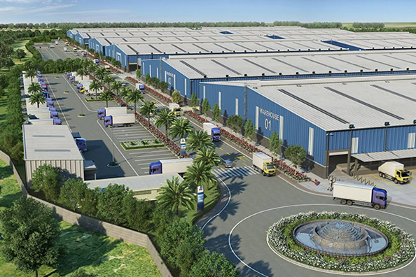 Хайнань IQF Frozen Fruit Co., Ltd.