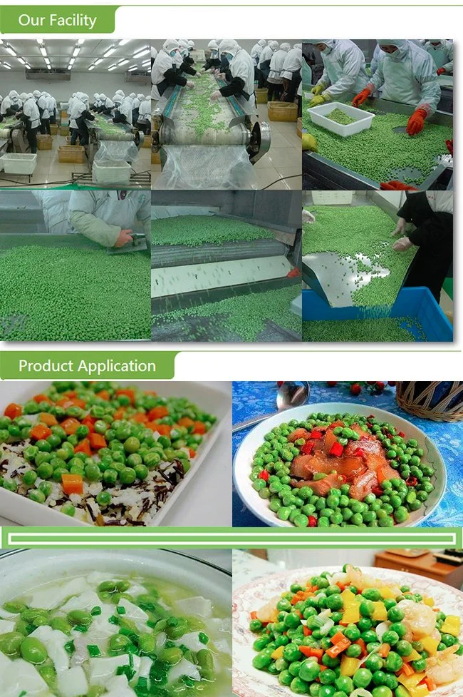 2022 New Harvest Frozen Vegetable IQF Green Peas with A Grade Bulk Carton Package