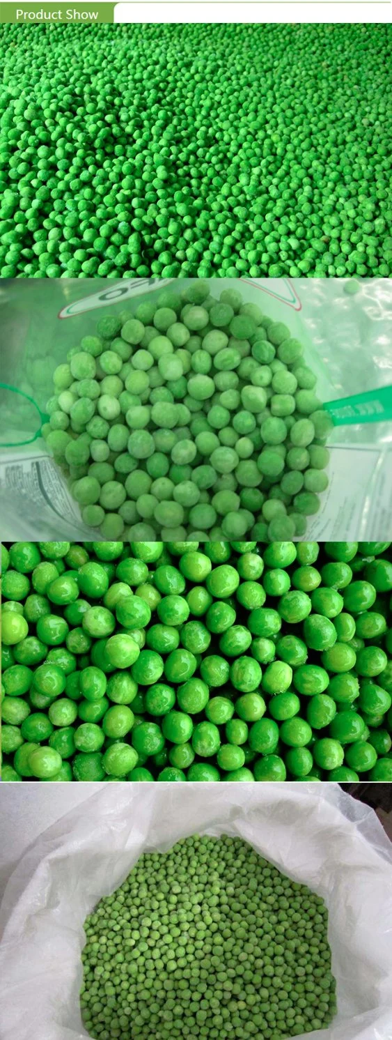 Halal Brc ISO Frozen IQF China Green Beans Green Peas for Salad Breakfast in Bulk Retail Packing with Factory Price