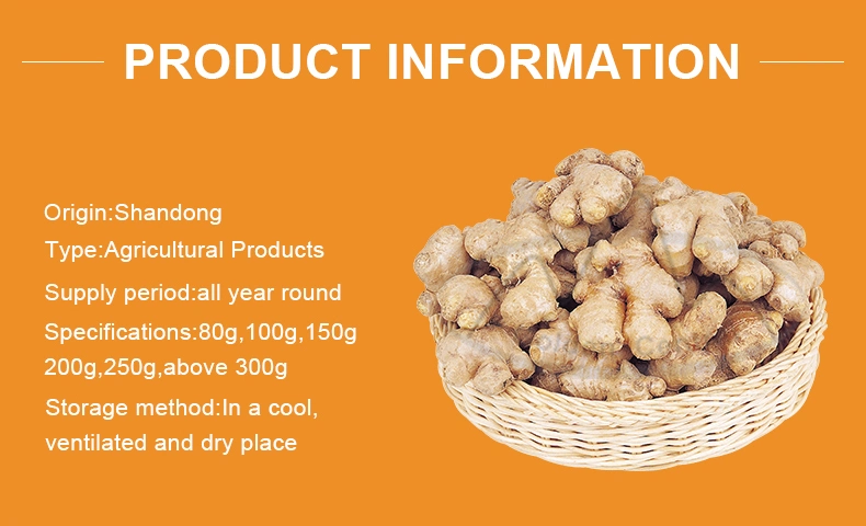 Best Quality New Crop Frozen Fresh Ginger