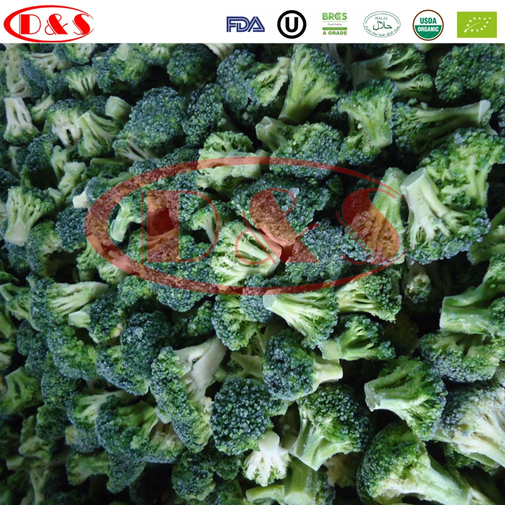 Bulk IQF Vegetables for Frozen Broccoli and Mixed Vegetables